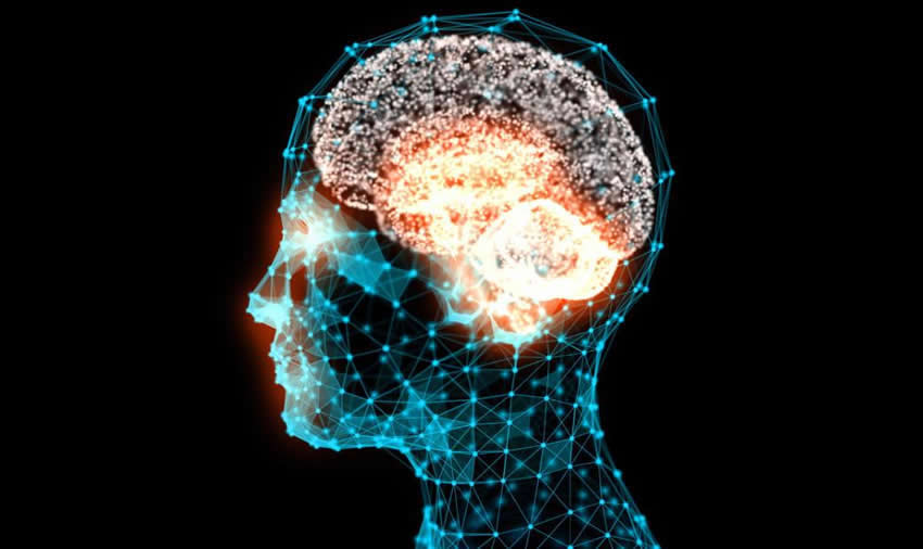 B.Ed. Special Needs Education